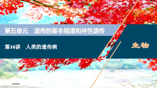 高考生物一轮复习 第五单元 遗传的基本规律和伴性遗传 第16讲 人类的遗传病课件 