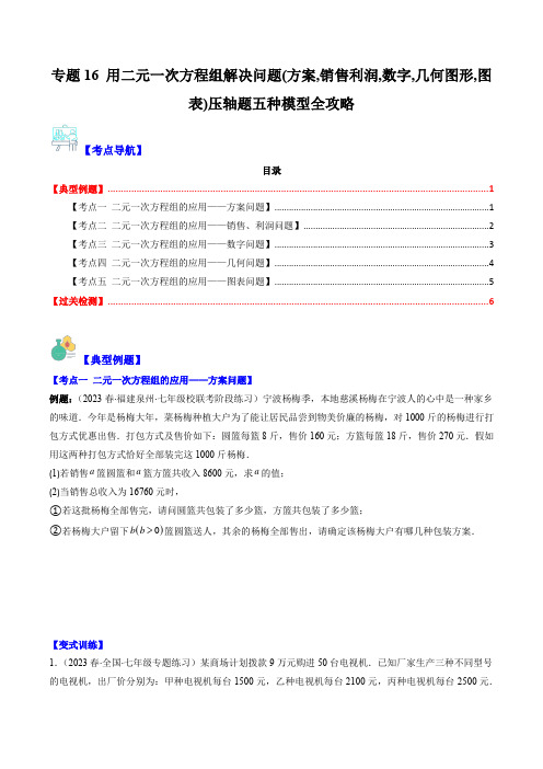 专题16用二元一次方程组解决问题(方案销售利润数字几何图形图表)压轴题五种模型全(原卷版)