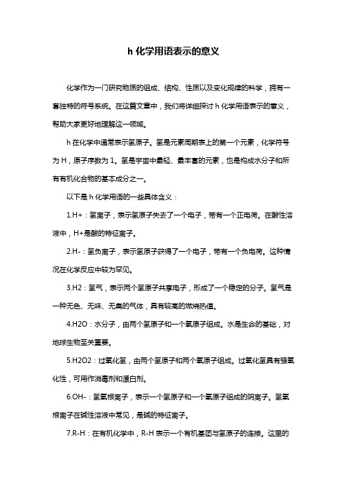 h化学用语表示的意义