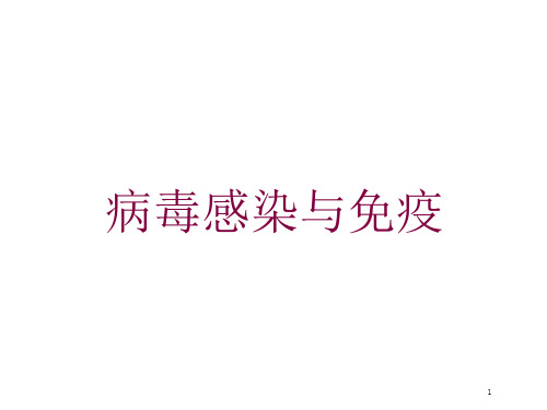 病毒感染与免疫培训ppt课件