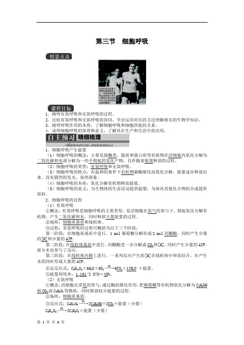 4.3细胞呼吸 学案(苏教版必修1)