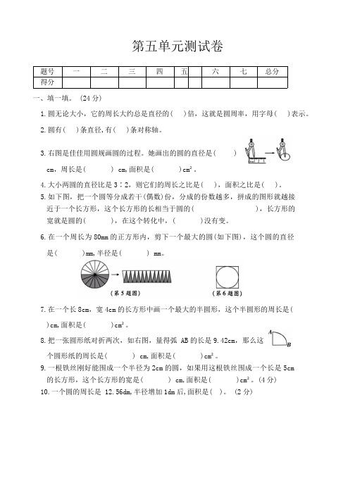 人教版数学六年级上册  第五单元测评卷(含答案)