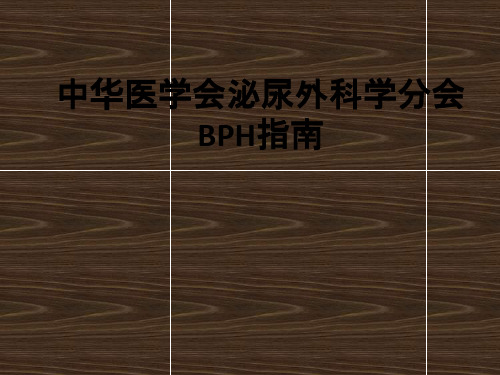 中华医学会泌尿外科学分会BPH指南ppt课件