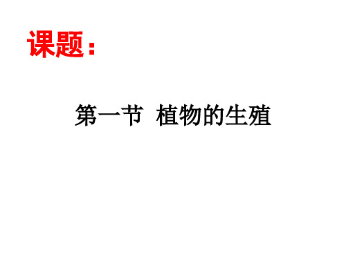 7.1.1 植物的生殖 人教版八年级下册生物课件(共22张PPT)