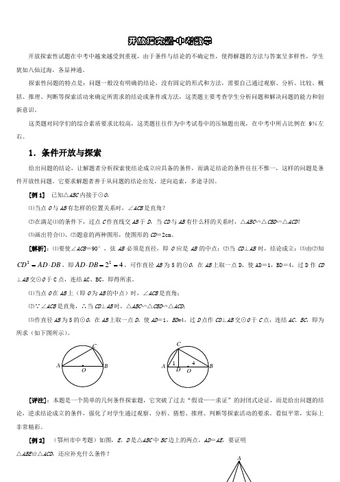 开放探究题-中考数学