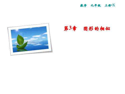 秋湘教版九年级数学上册习题课件：3.3 相似图形(共15张PPT)