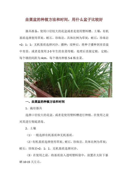 韭菜盆的种植方法和时间,用什么盆子比较好