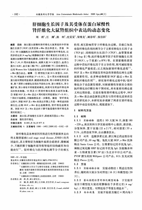 肝细胞生长因子及其受体在蛋白尿慢性肾纤维化大鼠肾组织中表达的动态变化