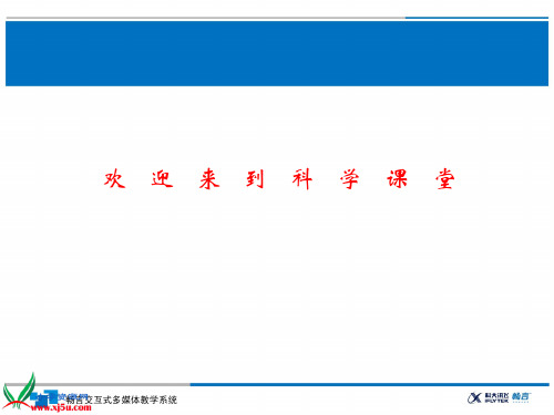 教科小学科学五上《2.2、阳光下的影子》PPT课件(1)