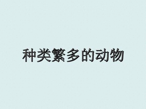 教科版小学科学六年级上册《种类繁多的动物》课件1