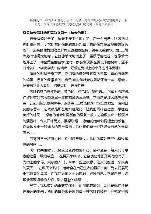 散文：有关秋天落叶的优美散文