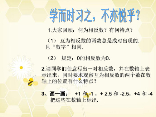七年级数学上册 2.4绝对值课件1 华东师大版