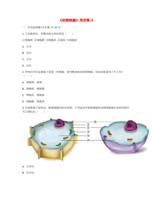 2019-2020学年七年级生物上册 第二单元 第一章 第三节《动物细胞》同步练习(新版)新人教版