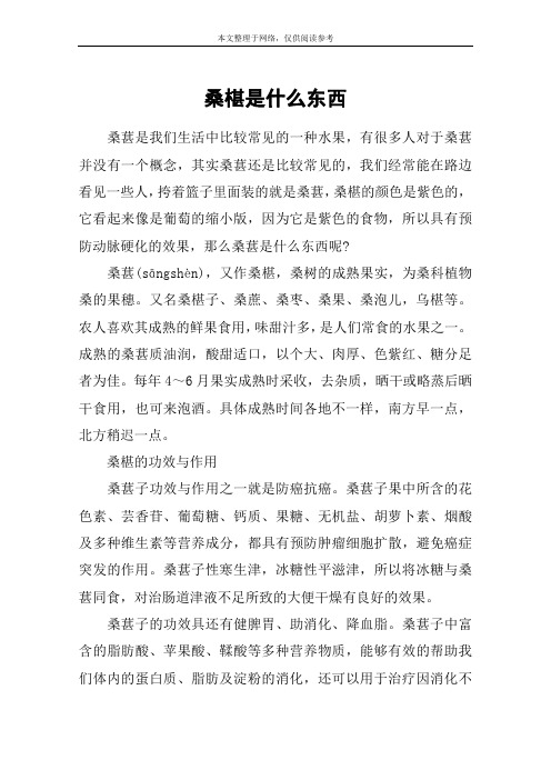 桑椹是什么东西