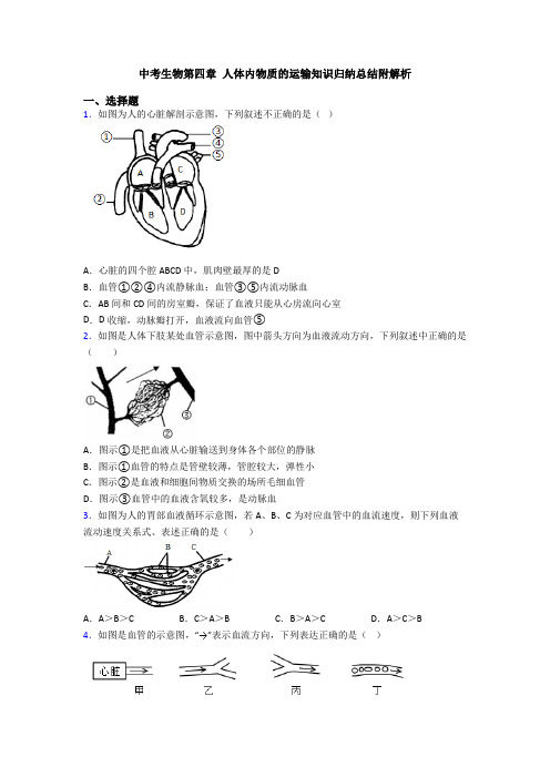 中考生物第四章 人体内物质的运输知识归纳总结附解析