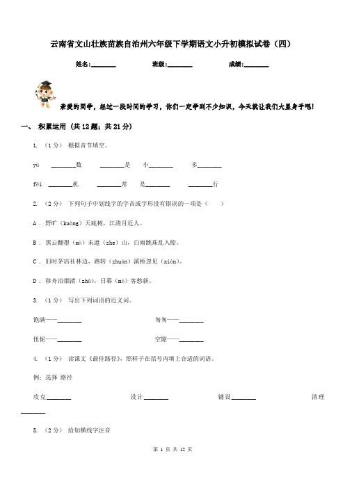 云南省文山壮族苗族自治州六年级下学期语文小升初模拟试卷(四)