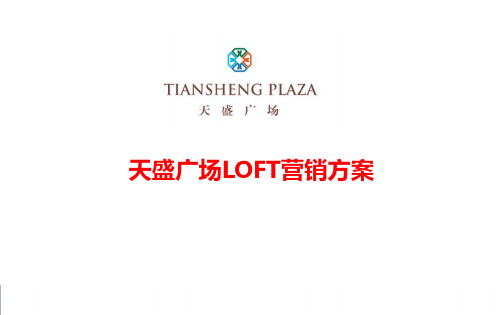 天盛广场LOFT精装公寓项目营销策划报告最终