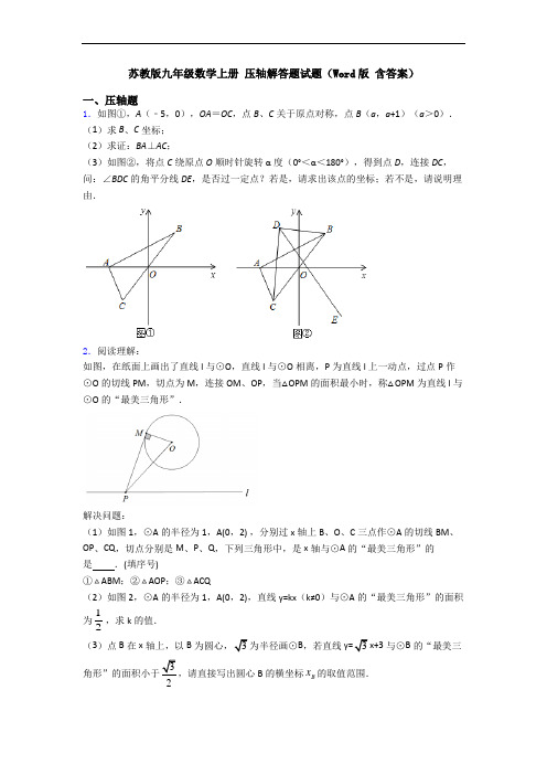 苏教版九年级数学上册 压轴解答题试题(Word版 含答案)