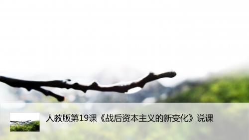 第19课 战后资本主义的新变化 说课课件(人教版必修2)
