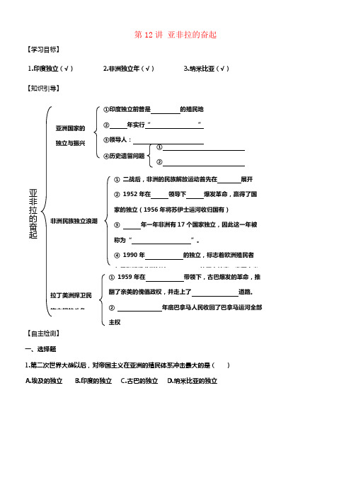 九年级历史下册第12讲亚非拉的奋起奖学案新人教版