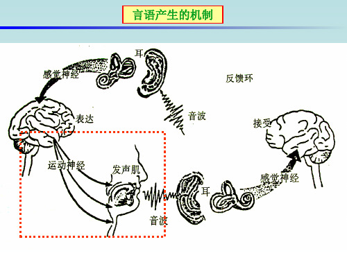 脑卒中构音障碍的康复评定精品ppt