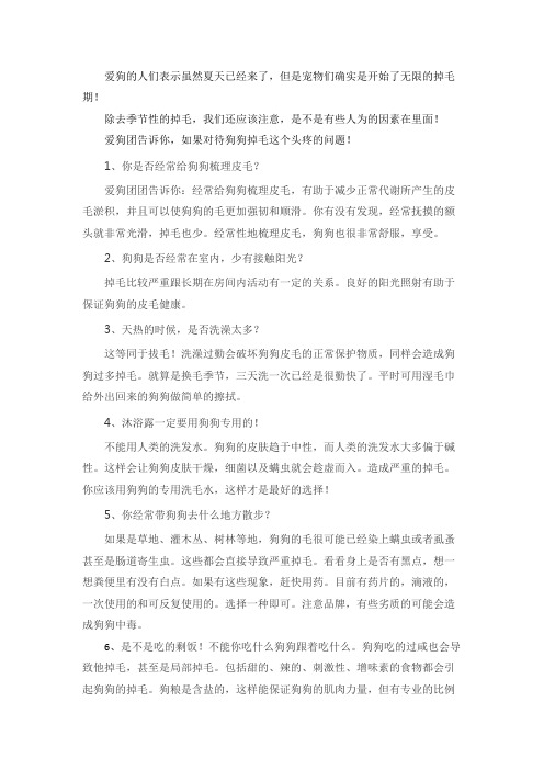 狗狗为什么掉毛怎么办