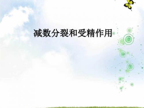 人教版高中生物必修二优秀课件:第二章第1节《减数分裂和受精作用》(共65张PPT)