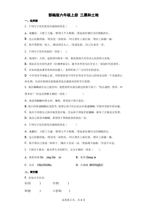 统编(部编)版语文六年级上册 第六单元 三黑和土地 同步练习6(含答案)