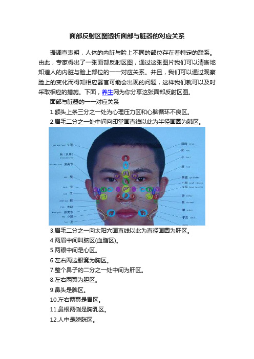 面部反射区图透析面部与脏器的对应关系