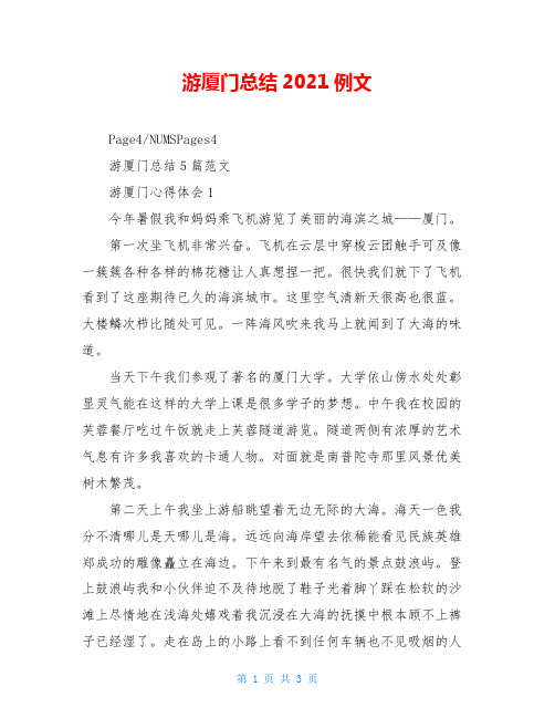 游厦门总结2021例文