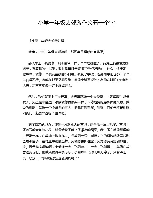 小学一年级去郊游作文五十个字