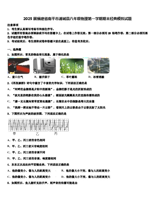 2025届福建省南平市浦城县八年级物理第一学期期末经典模拟试题含解析