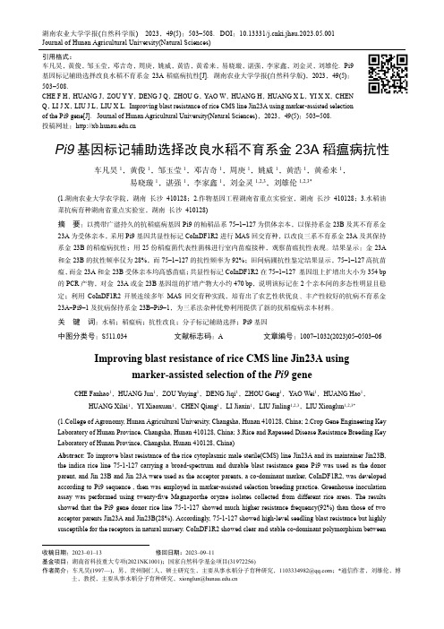 Pi9_基因标记辅助选择改良水稻不育系金23A_稻瘟病抗性