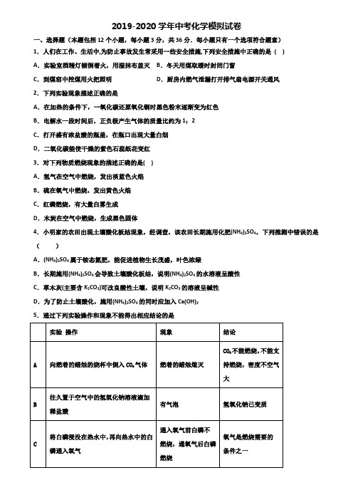 天津市滨海新区2019-2020学年中考化学达标检测双份试题