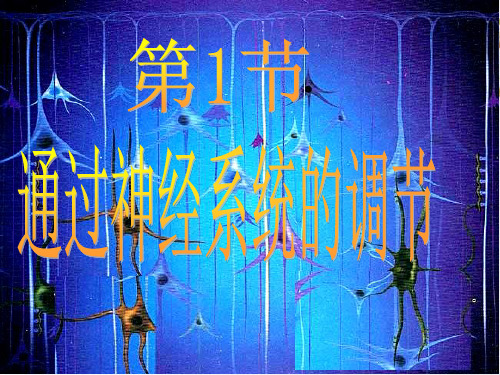 新版人教版高中生物通过神经系统的调节 (共44张PPT)学习演示PPT课件