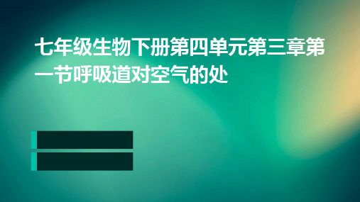 七年级生物下册第四单元第三章第一节呼吸道对空气的处