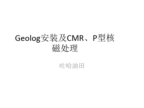 Geolog安装及核磁处理