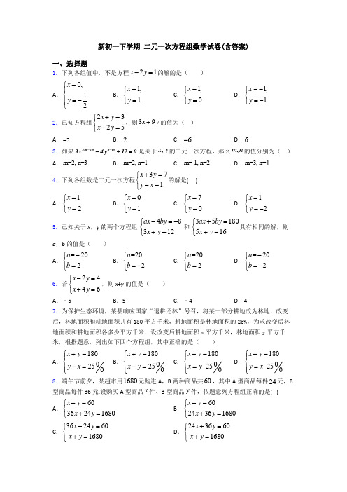 新初一下学期 二元一次方程组数学试卷(含答案)