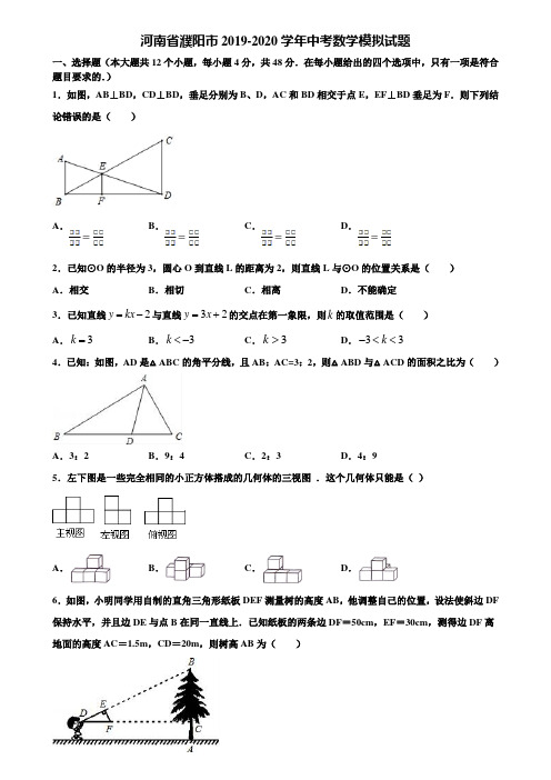 河南省濮阳市2019-2020学年中考数学模拟试题含解析