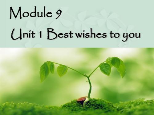 Module 9 Unit 1 Best wishes to you 课件2-优质公开课-外研新标准一起6下精品