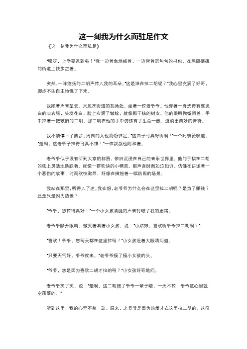 这一刻我为什么而驻足作文