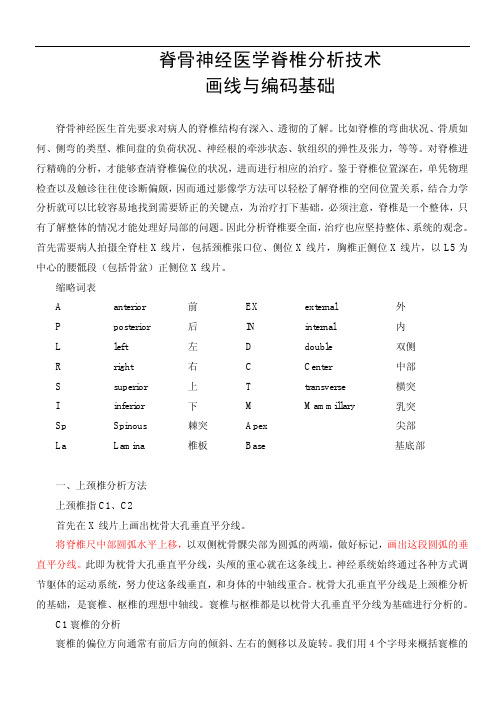 脊骨神经医学脊椎分析技术 画线与编码基础