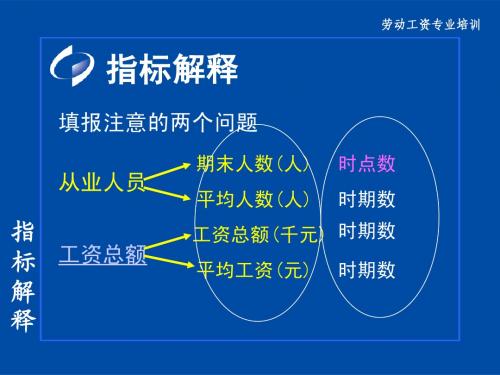 劳动工资指标解释