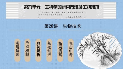 人教版中考生物复习《生物技术》课件