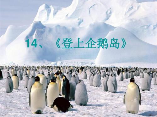 三年级语文下册第4单元14《登上企鹅岛》 优秀课件3语文S版