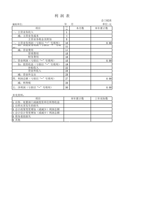 利润表空表