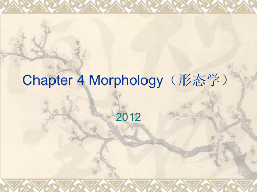 Chapter 4 Morphology