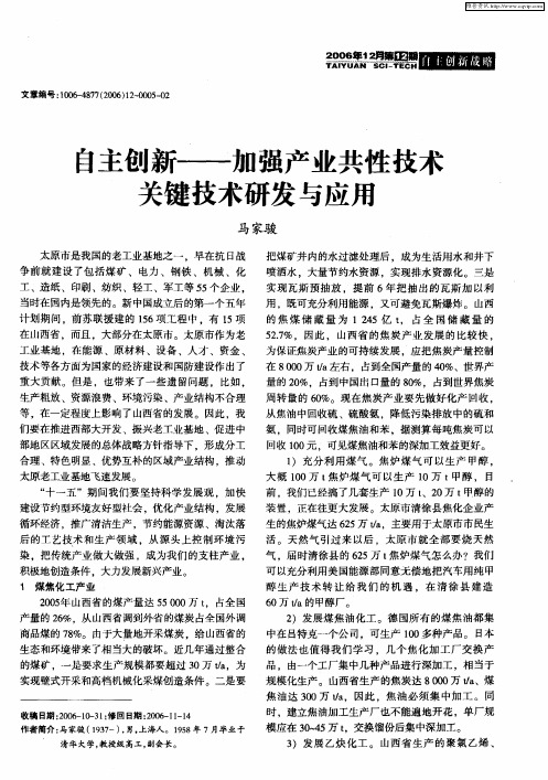 自主创新——加强产业共性技术关键技术研发与应用