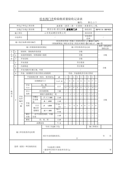 阀门井检验批质量验收记录表【范本模板】