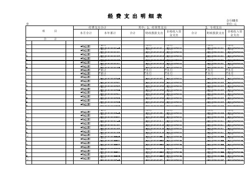 行政经费支出明细表